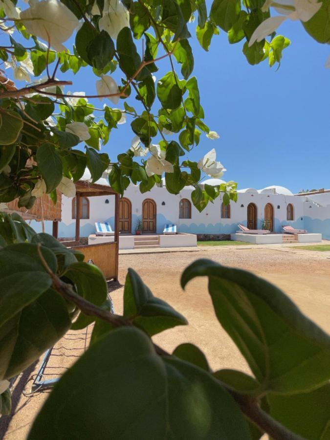 Dolphin Camp Otel Dahab Dış mekan fotoğraf