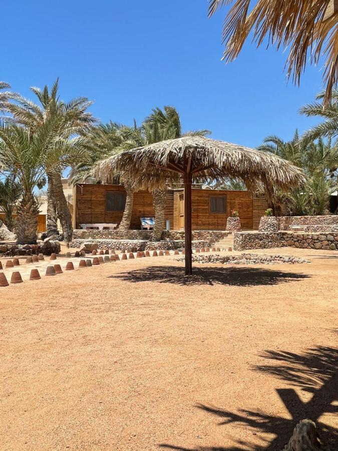 Dolphin Camp Otel Dahab Dış mekan fotoğraf