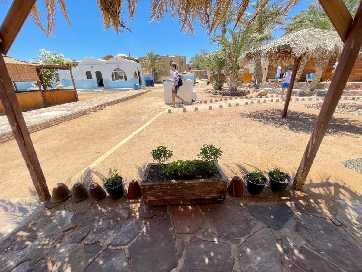 Dolphin Camp Otel Dahab Dış mekan fotoğraf